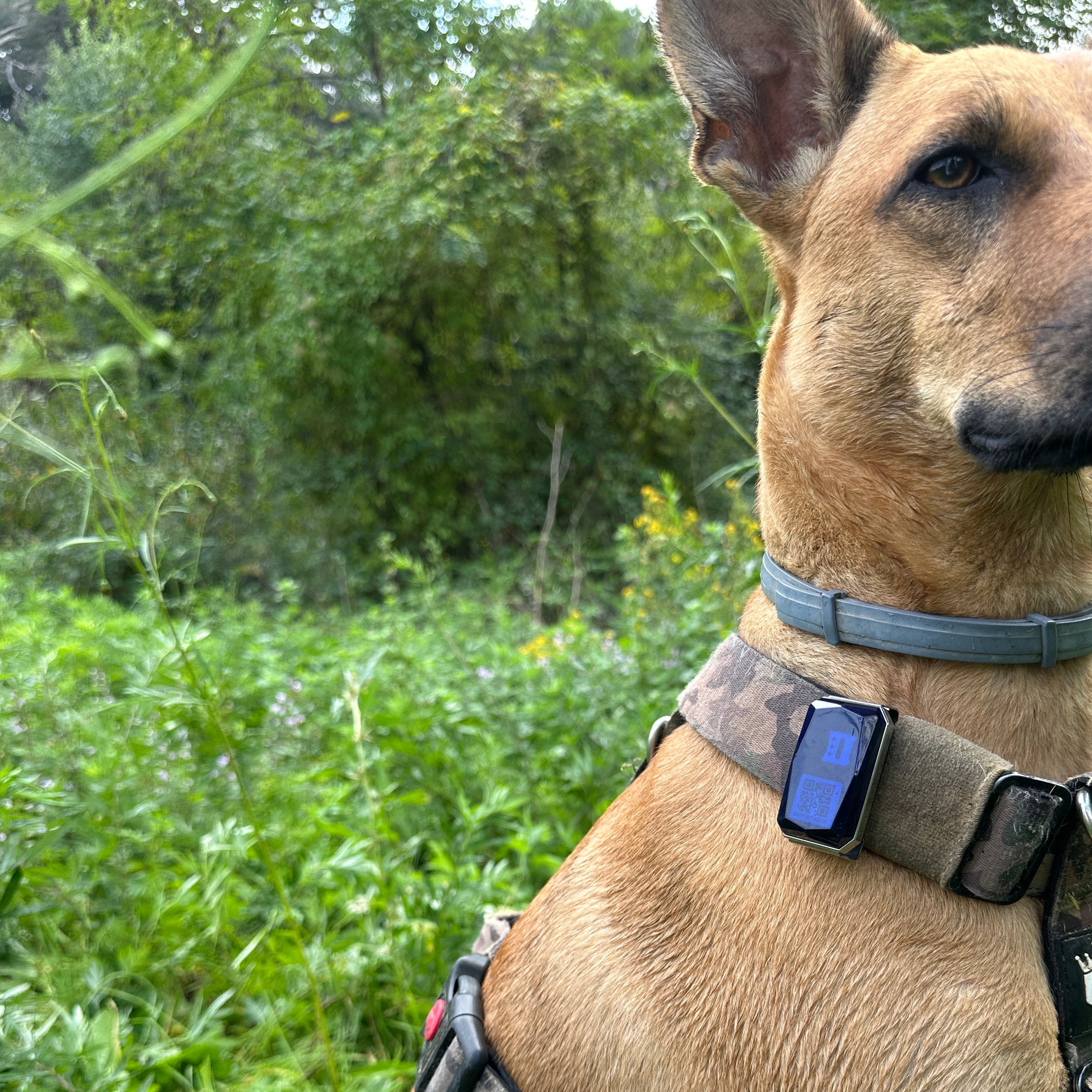 UbiPet GPS Tracker Para Mascotas